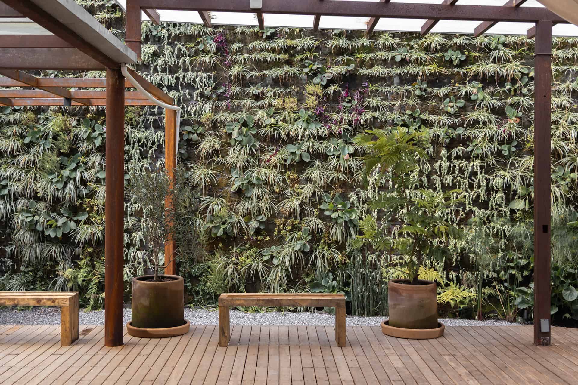 JardinLUUM (2)